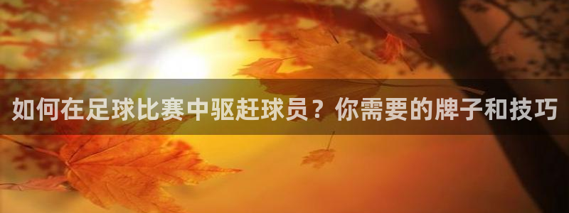 意昂体育官网登录
