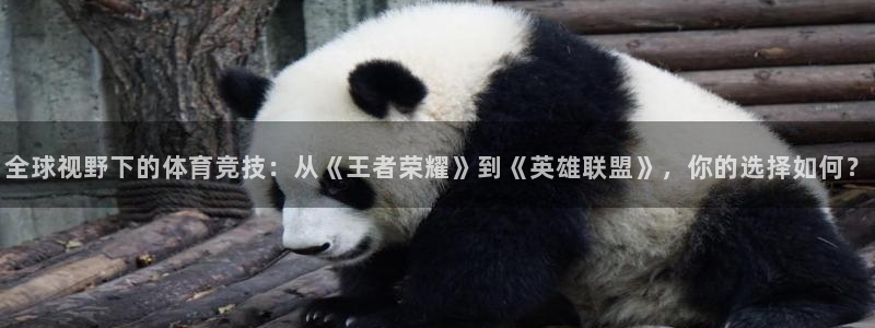 意昂体育凯捷代理注册