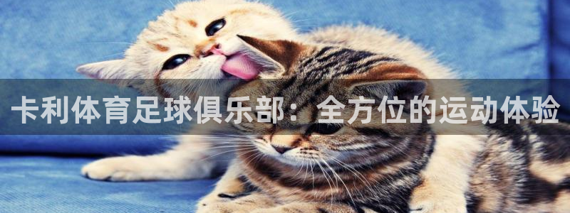 意昂3登陆